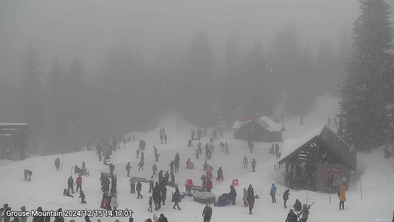 Webcam frame from Grouse Mountain on 2024/12/15