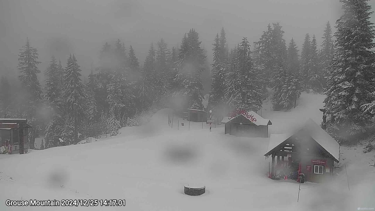 Webcam frame from Grouse Mountain on 2024/12/25