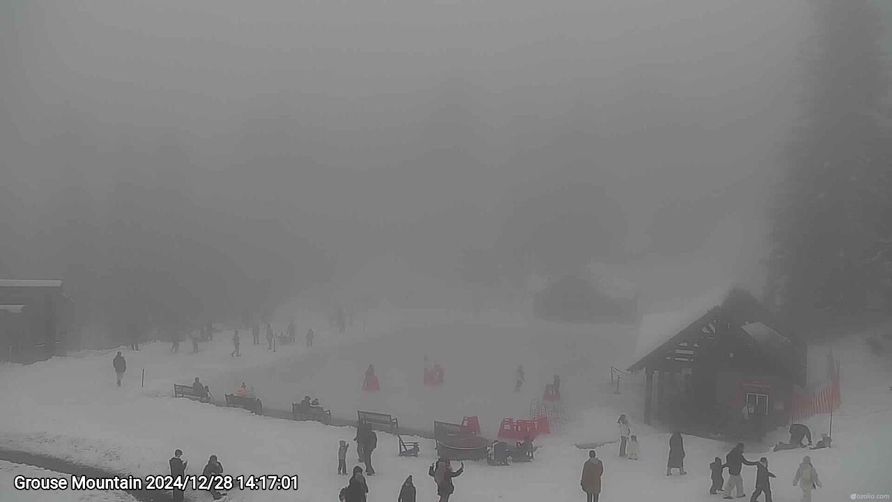 Webcam frame from Grouse Mountain on 2024/12/28