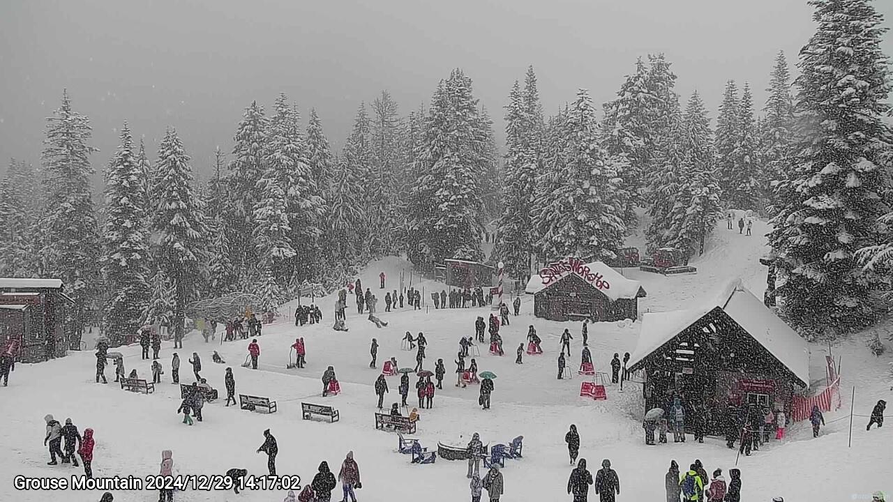 Webcam frame from Grouse Mountain on 2024/12/29