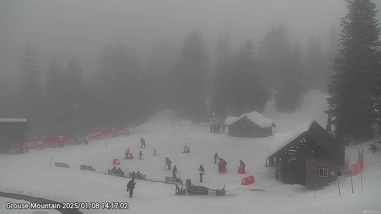 Webcam frame from Grouse Mountain on 2025/01/08