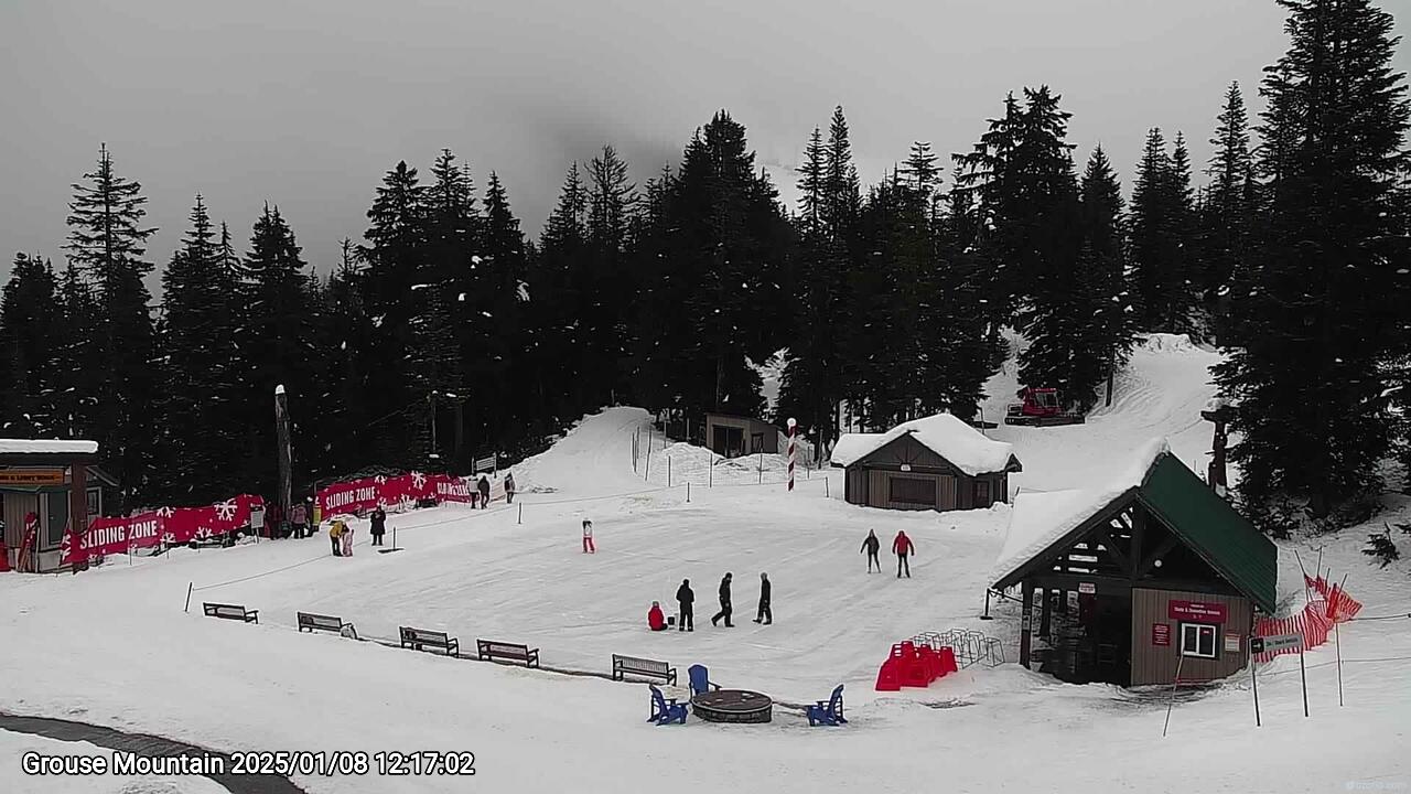 Webcam frame from Grouse Mountain at 2025/01/08 12:00