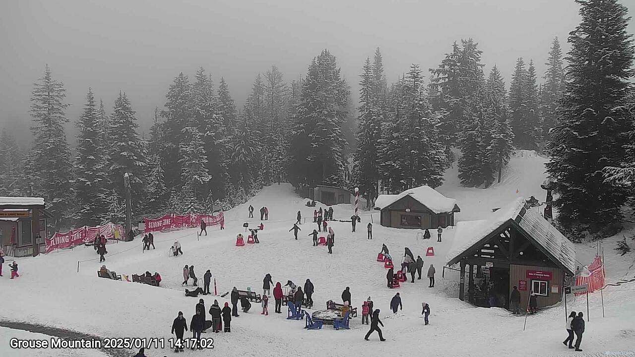 Webcam frame from Grouse Mountain on 2025/01/11