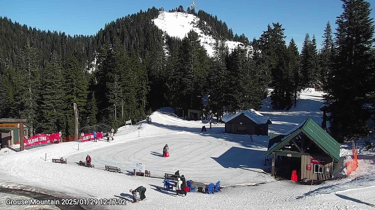 Webcam frame from Grouse Mountain at 2025/01/29 12:00