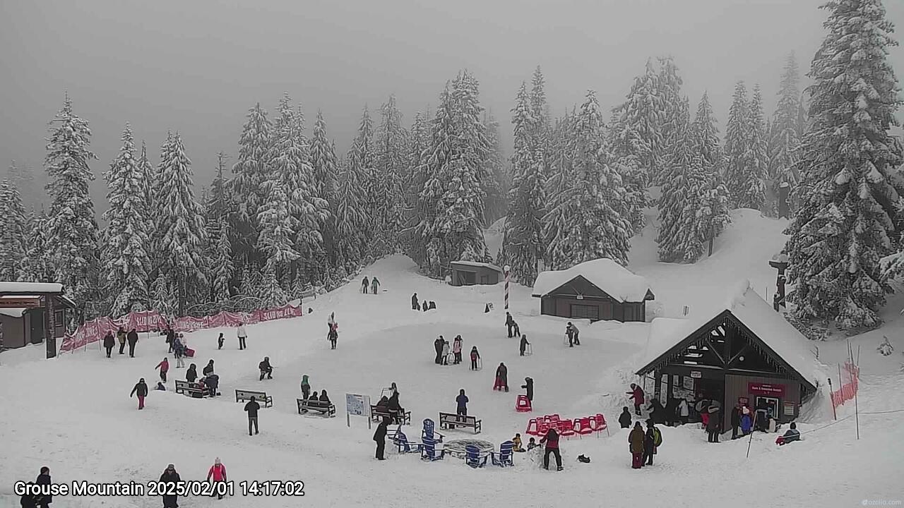 Webcam frame from Grouse Mountain on 2025/02/01