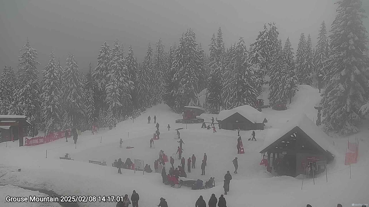 Webcam frame from Grouse Mountain on 2025/02/08