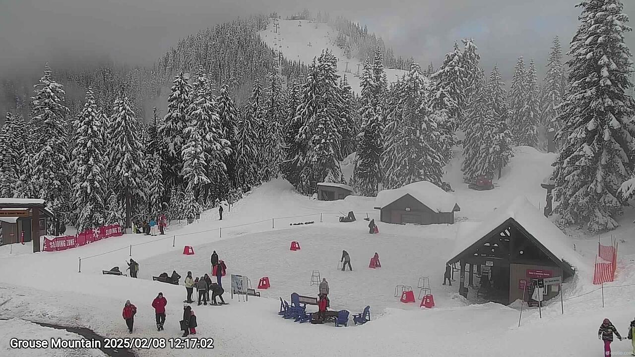 Webcam frame from Grouse Mountain at 2025/02/08 12:00