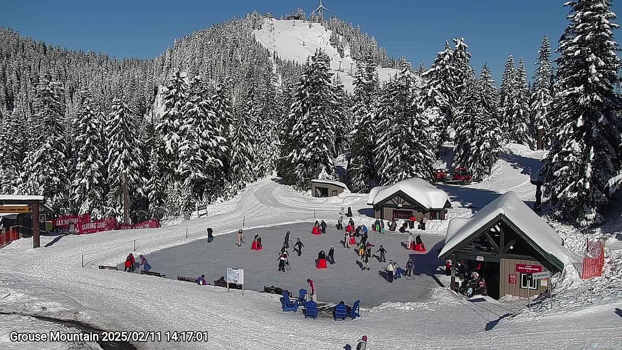 Webcam frame from Grouse Mountain on 2025/02/11