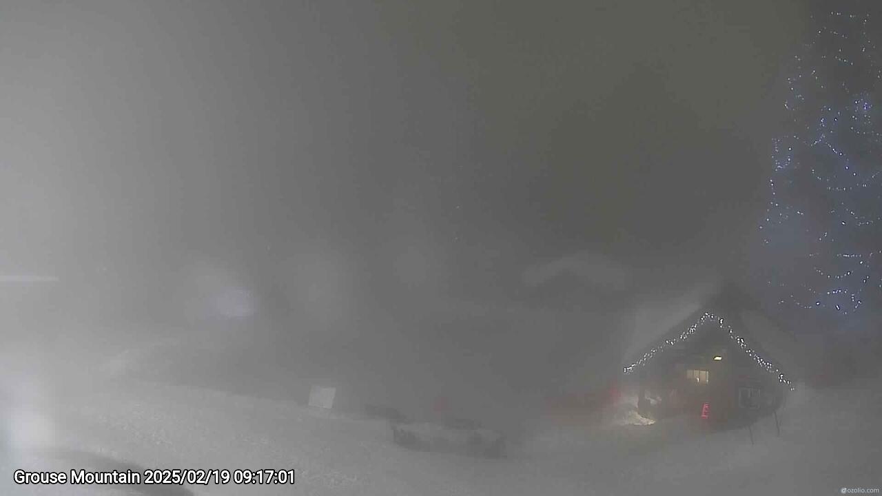 Webcam frame from Grouse Mountain on 2025/02/19