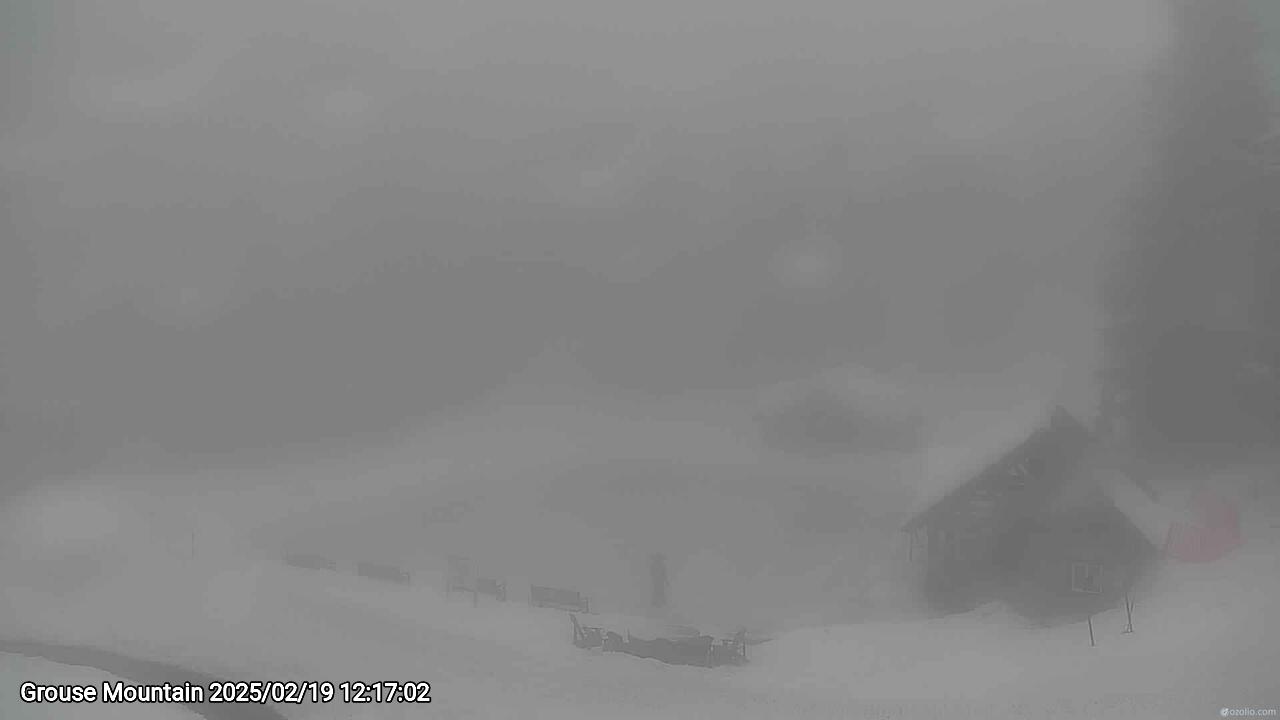 Webcam frame from Grouse Mountain at 2025/02/19 12:00