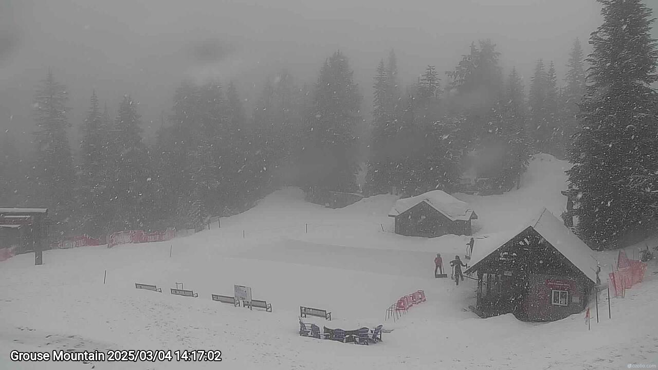 Webcam frame from Grouse Mountain on 2025/03/04