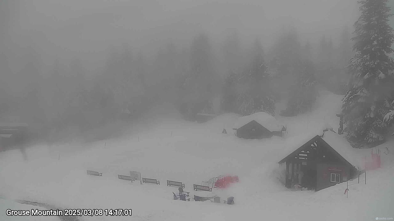Webcam frame from Grouse Mountain on 2025/03/08
