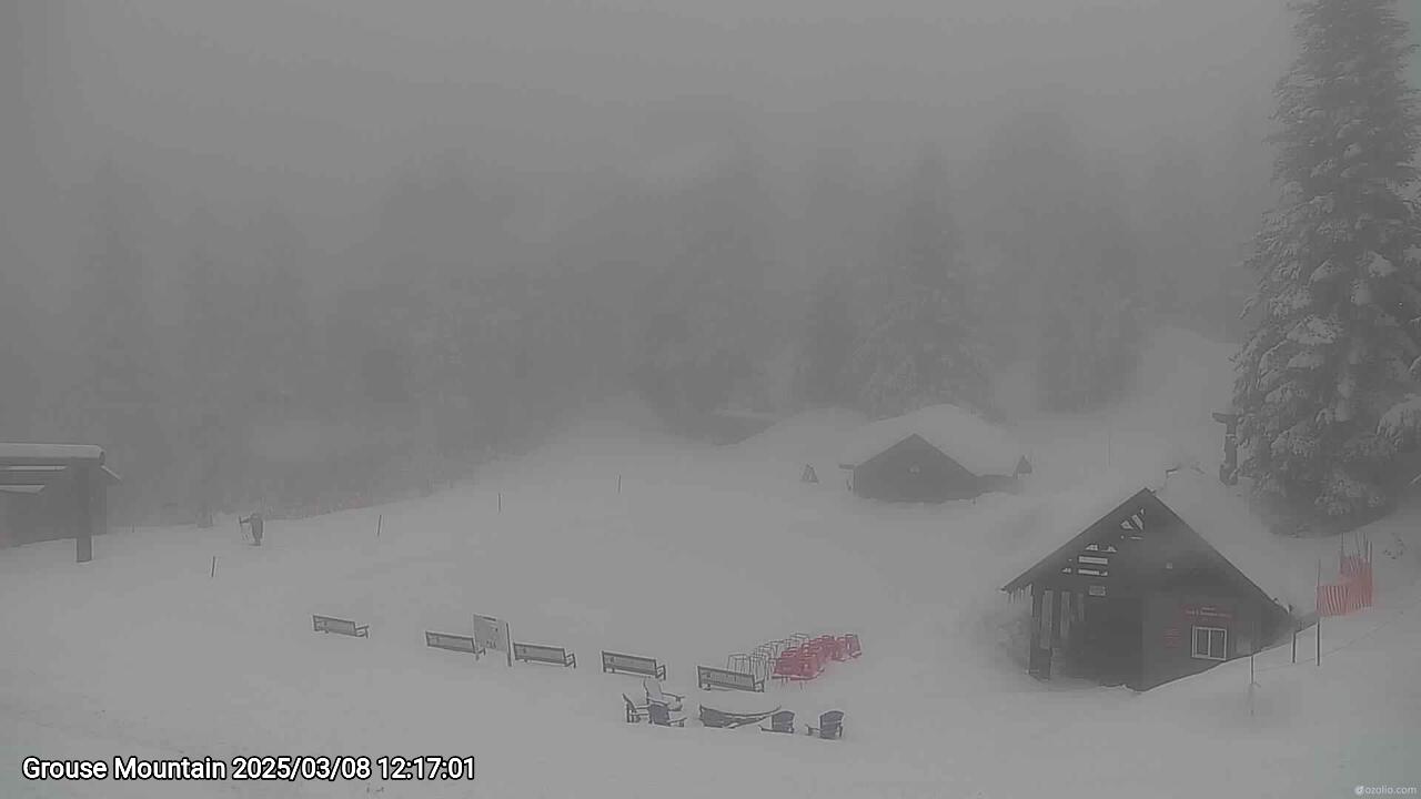 Webcam frame from Grouse Mountain at 2025/03/08 12:00