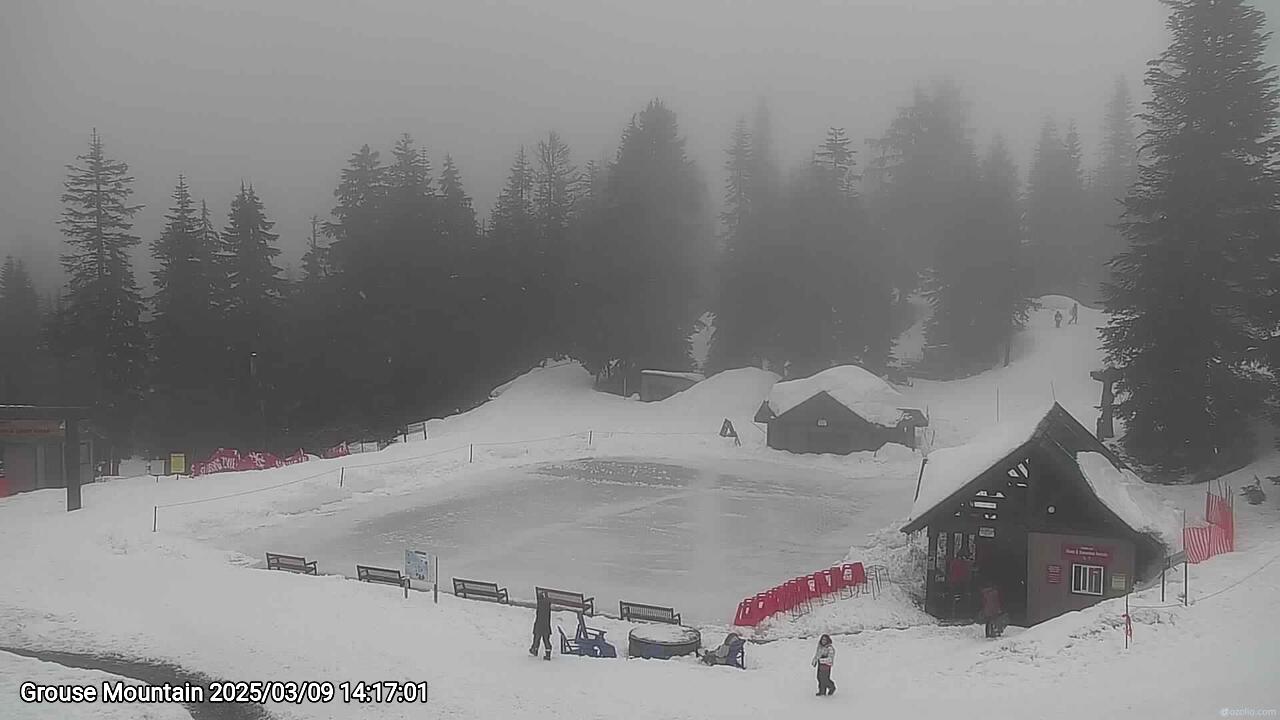 Webcam frame from Grouse Mountain on 2025/03/09
