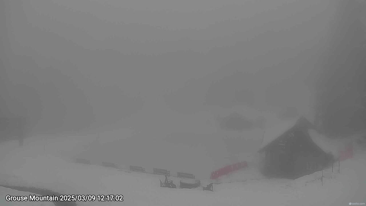 Webcam frame from Grouse Mountain at 2025/03/09 12:00