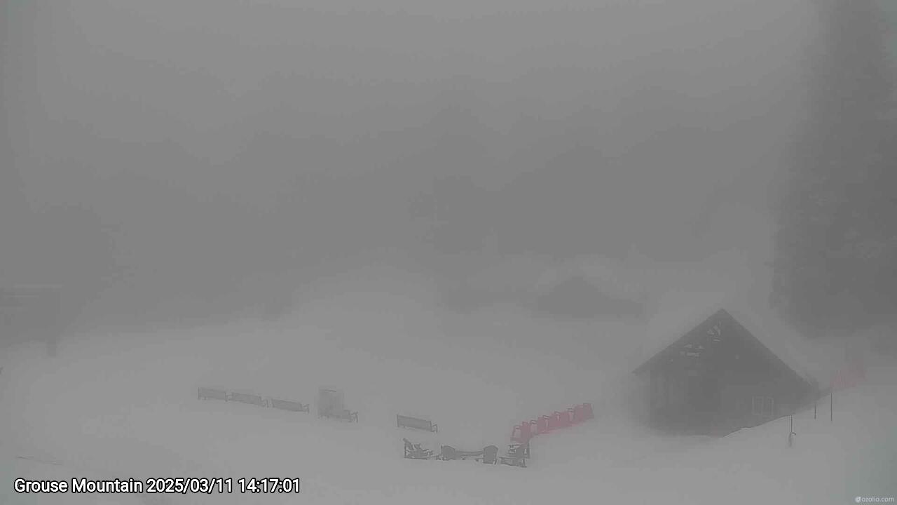 Webcam frame from Grouse Mountain on 2025/03/11