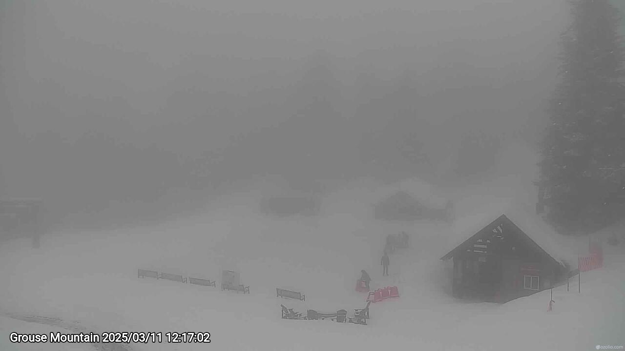 Webcam frame from Grouse Mountain at 2025/03/11 12:00