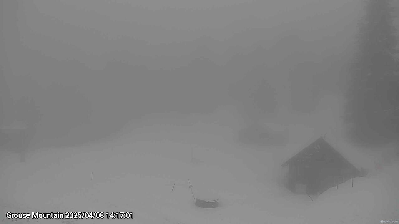 Webcam frame from Grouse Mountain on 2025/04/08