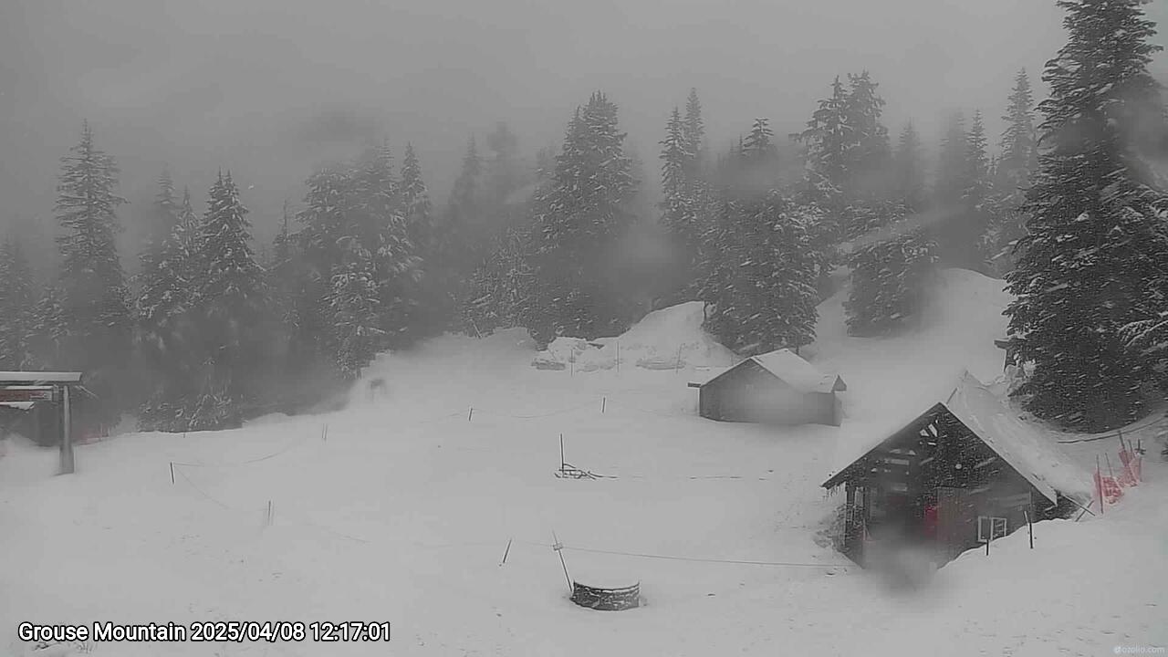 Webcam frame from Grouse Mountain at 2025/04/08 12:00