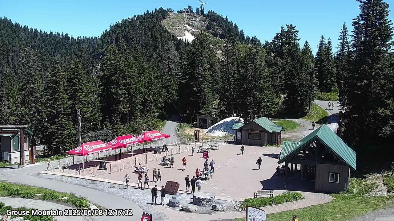 Webcam frame from Grouse Mountain at 2025/06/08 12:00