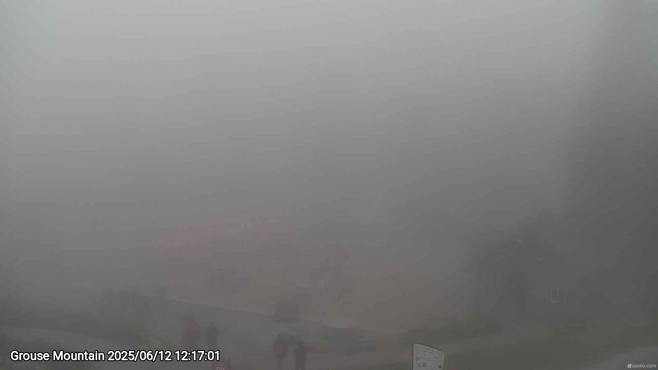 Webcam frame from Grouse Mountain at 2025/06/12 12:00