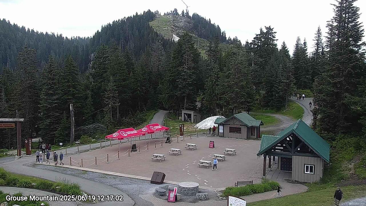 Webcam frame from Grouse Mountain at 2025/06/19 12:00
