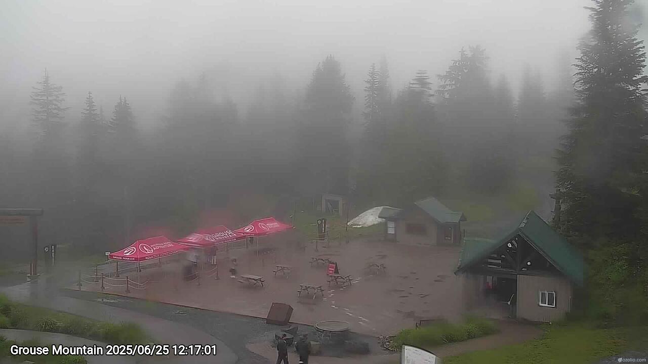 Webcam frame from Grouse Mountain at 2025/06/25 12:00