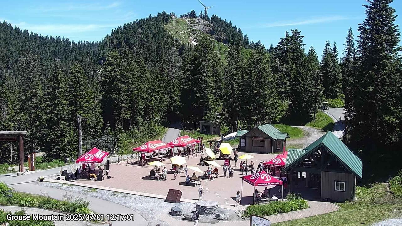 Webcam frame from Grouse Mountain at 2025/07/01 12:00