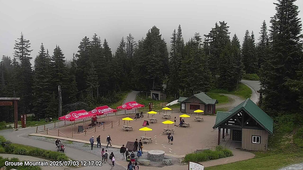 Webcam frame from Grouse Mountain at 2025/07/03 12:00