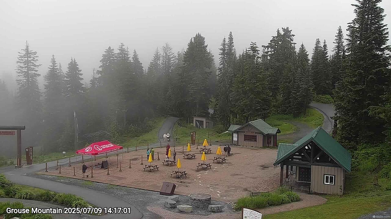 Webcam frame from Grouse Mountain on 2025/07/09