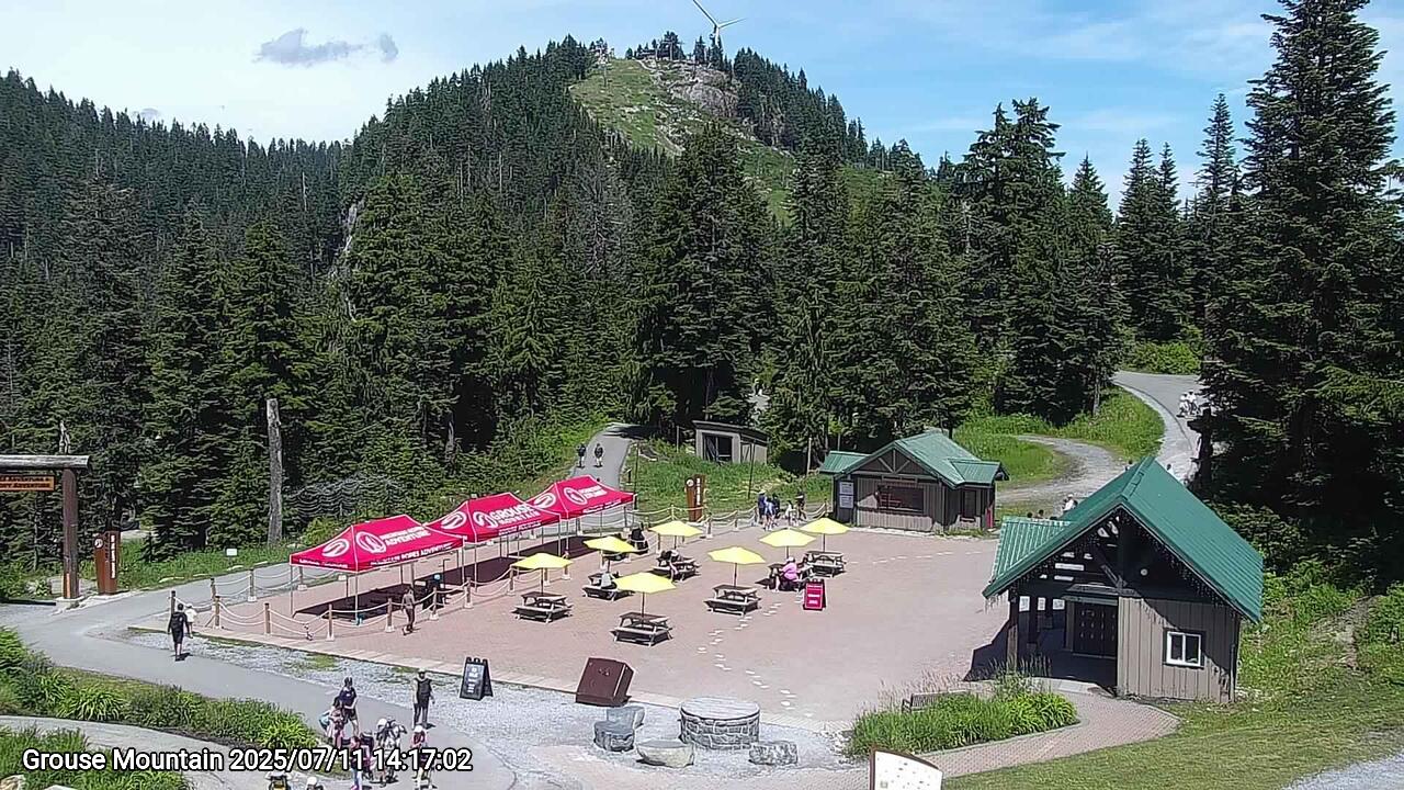 Webcam frame from Grouse Mountain on 2025/07/11