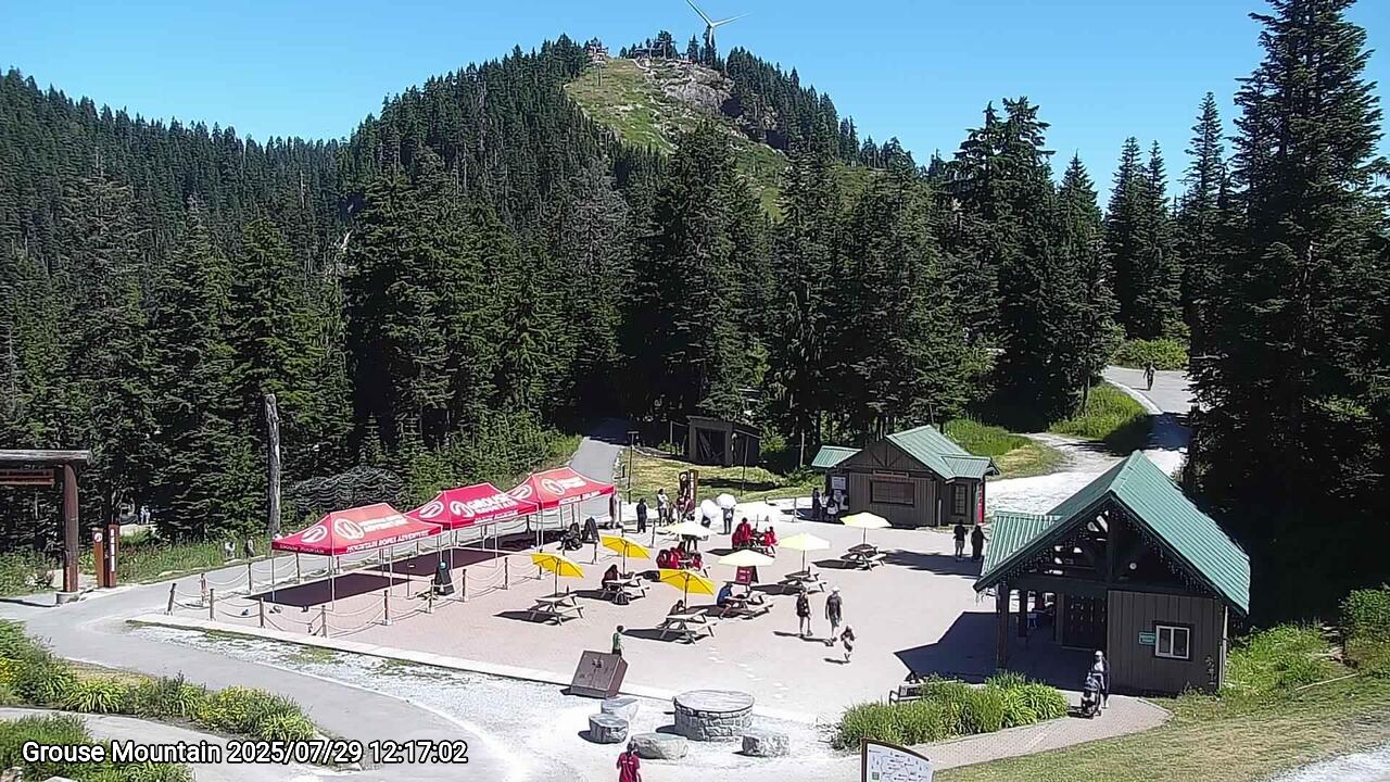 Webcam frame from Grouse Mountain at 2025/07/29 12:00