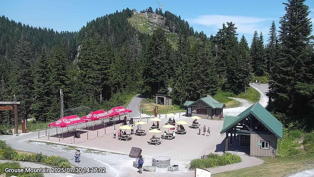 Webcam frame from Grouse Mountain on 2025/07/30