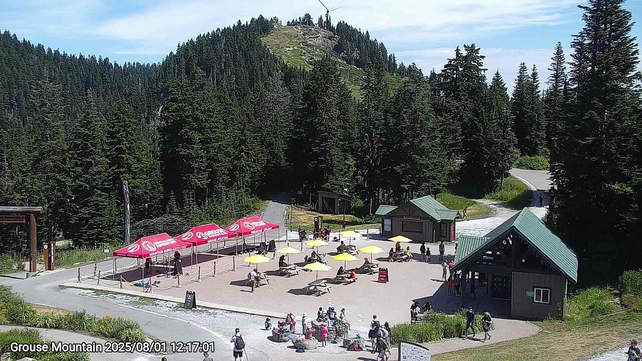 Webcam frame from Grouse Mountain at 2025/08/01 12:00