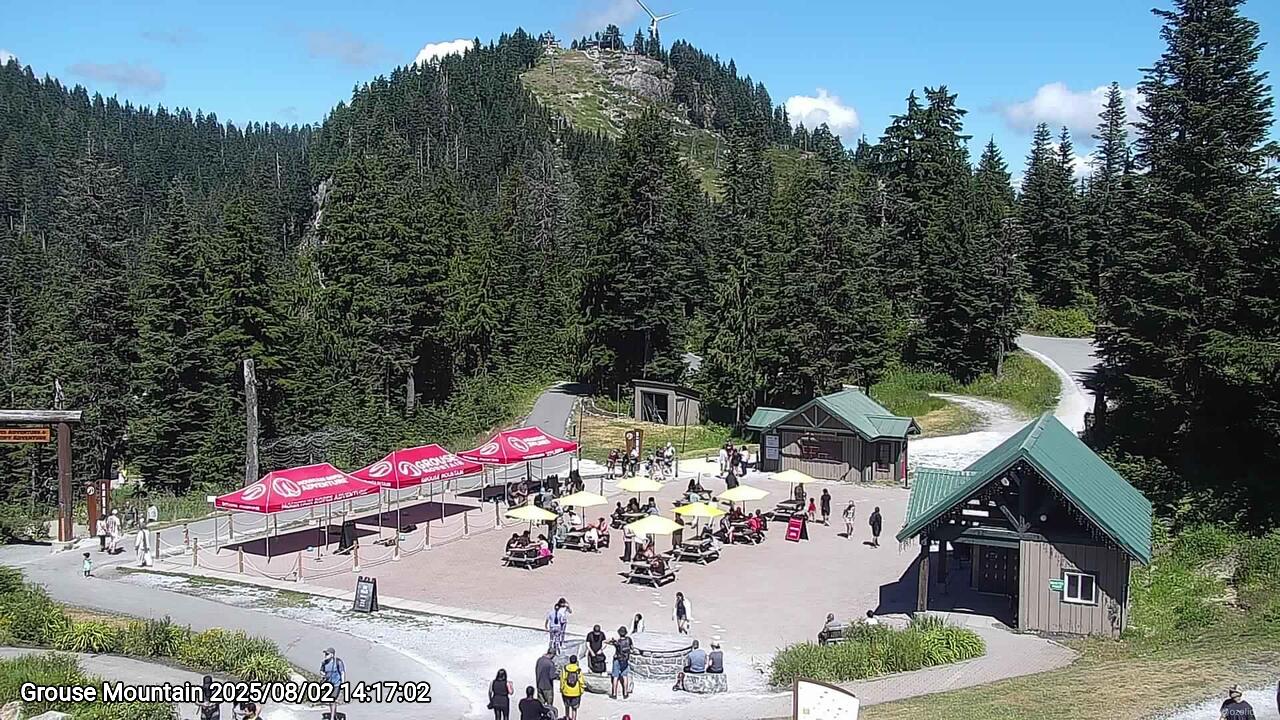 Webcam frame from Grouse Mountain on 2025/08/02