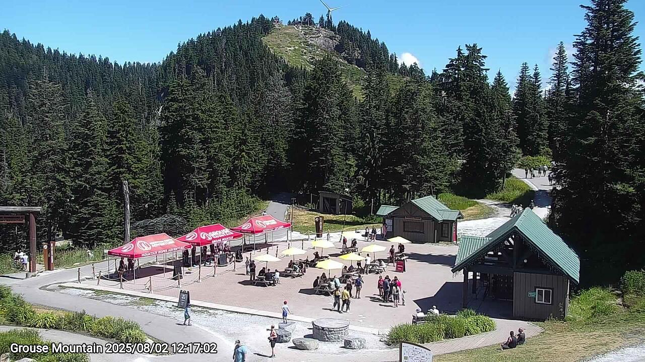 Webcam frame from Grouse Mountain at 2025/08/02 12:00