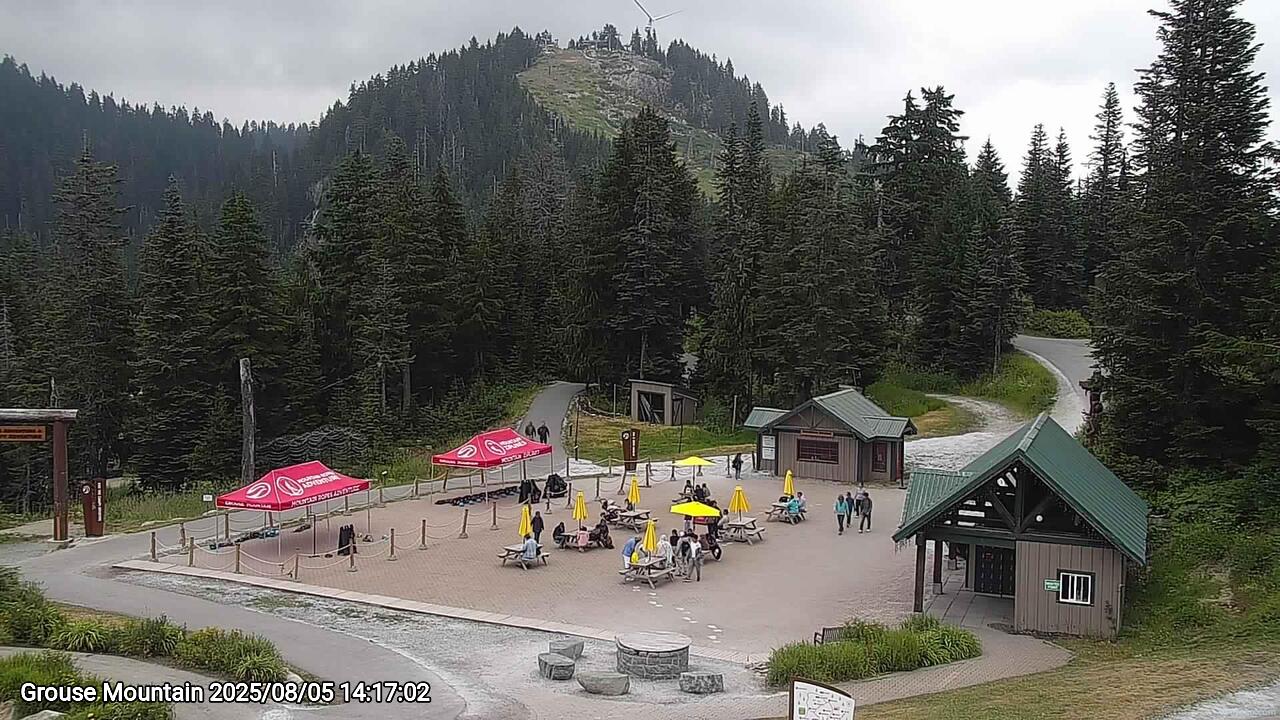 Webcam frame from Grouse Mountain on 2025/08/05