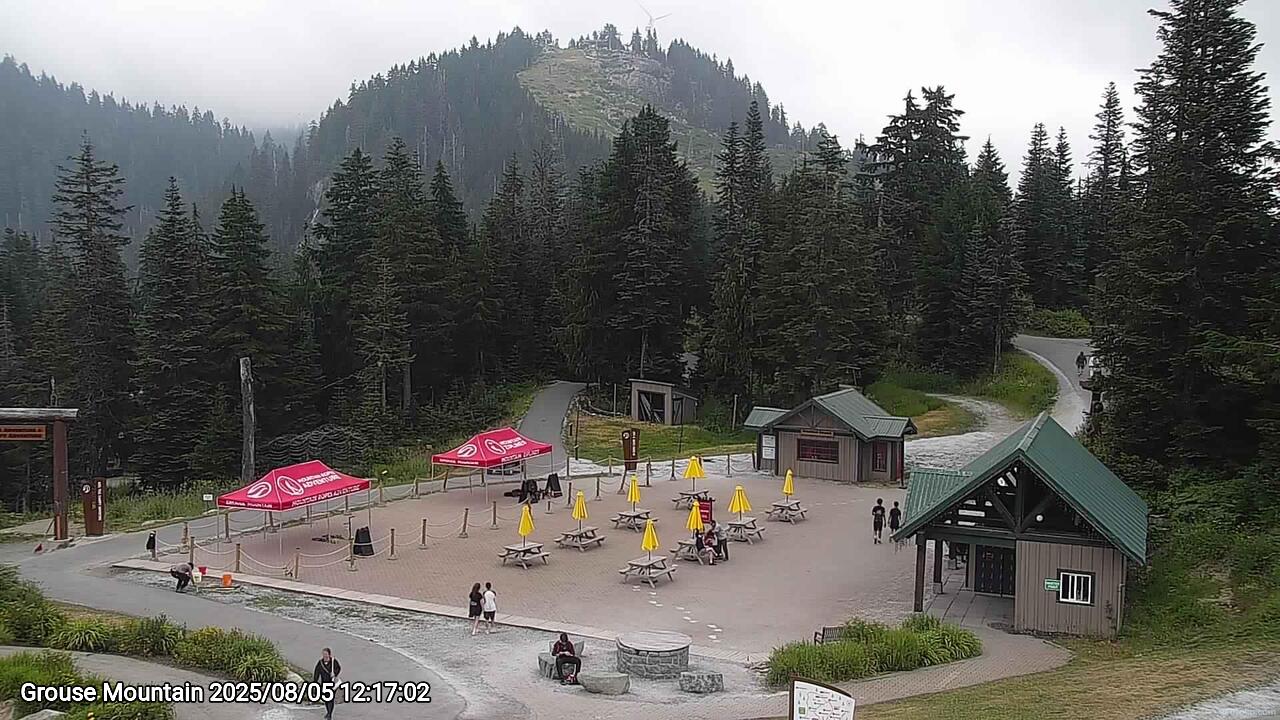 Webcam frame from Grouse Mountain at 2025/08/05 12:00