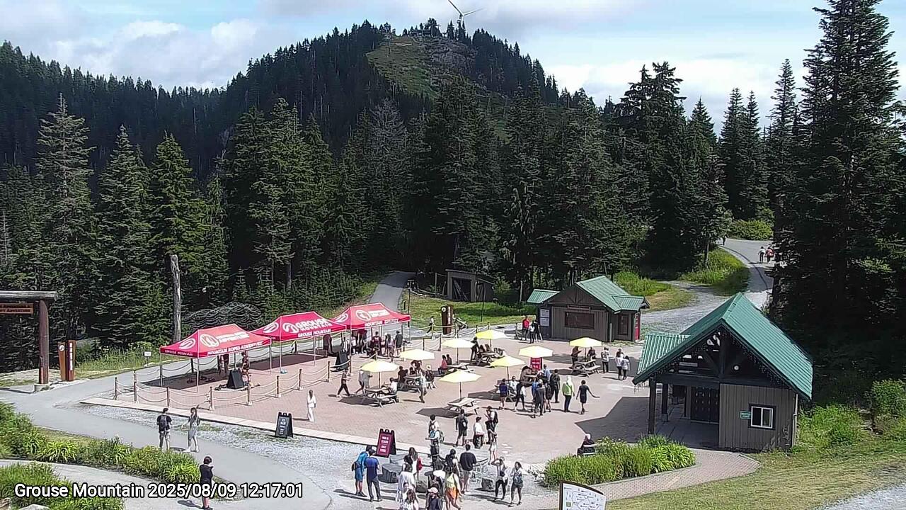 Webcam frame from Grouse Mountain at 2025/08/09 12:00