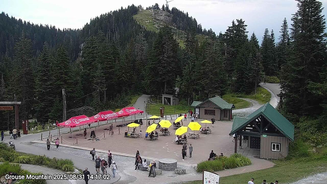 Webcam frame from Grouse Mountain on 2025/08/31