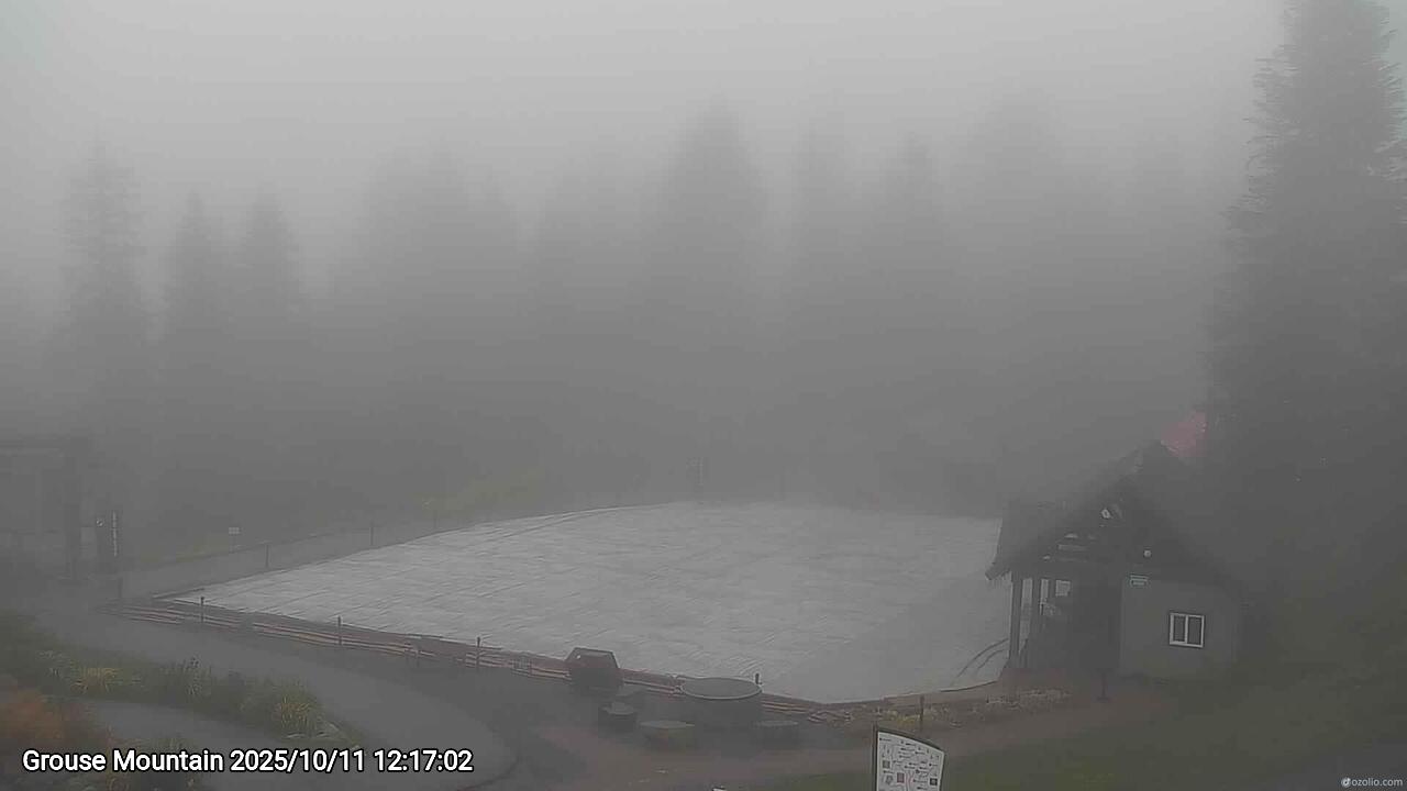 Webcam frame from Grouse Mountain at 2025/10/11 12:00