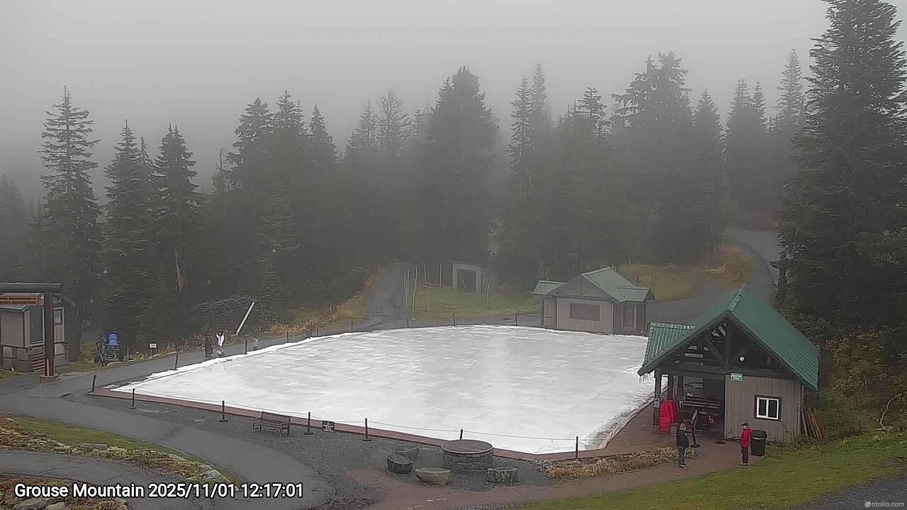 Webcam frame from Grouse Mountain at 2025/11/01 12:00