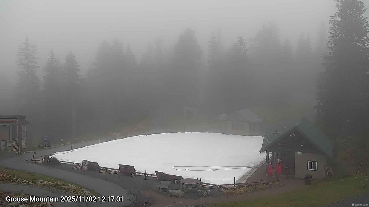 Webcam frame from Grouse Mountain at 2025/11/02 12:00