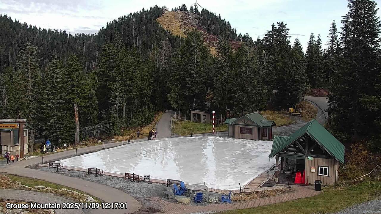 Webcam frame from Grouse Mountain at 2025/11/09 12:00