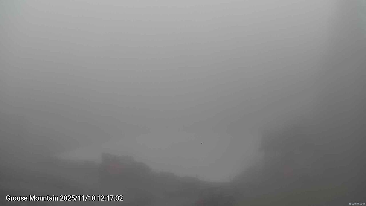 Webcam frame from Grouse Mountain at 2025/11/10 12:00