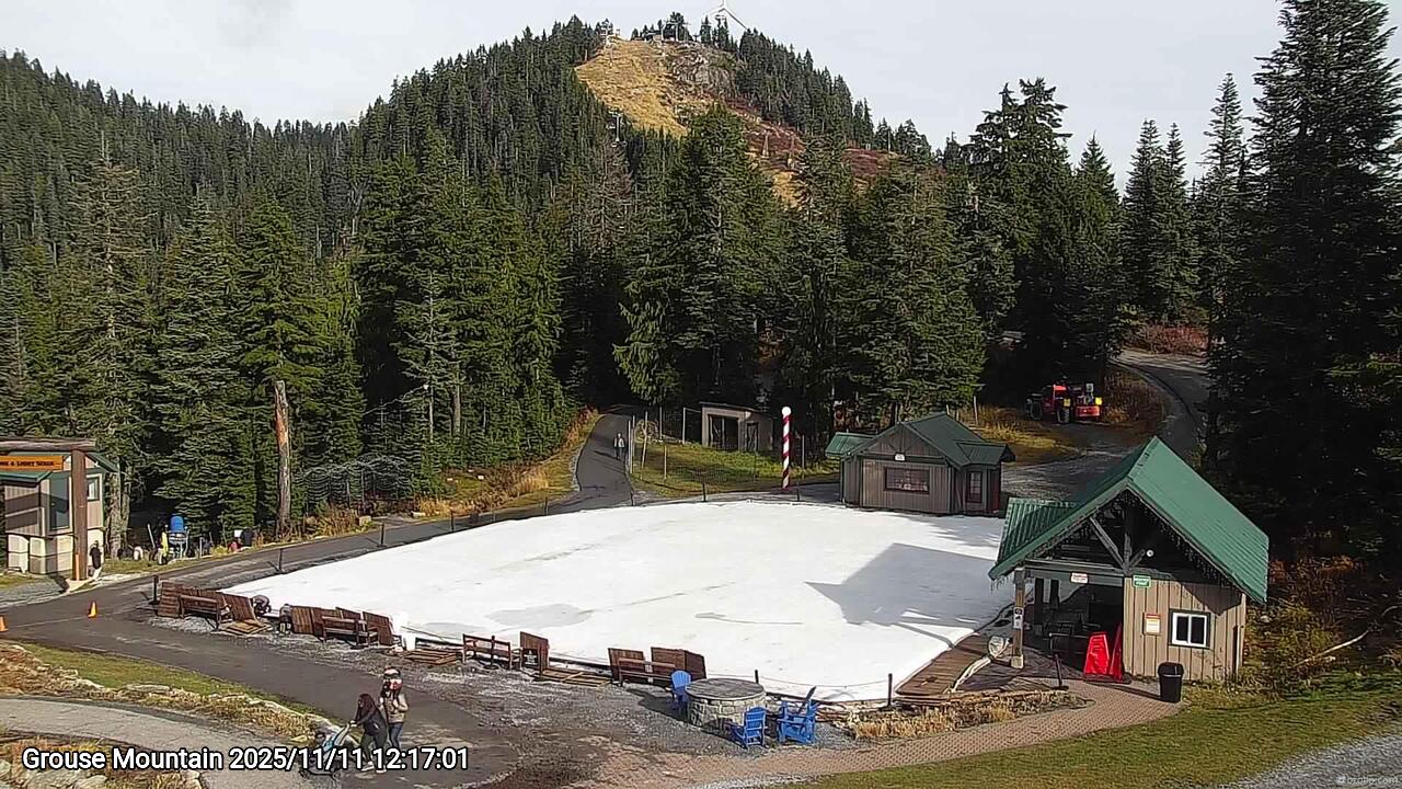 Webcam frame from Grouse Mountain at 2025/11/11 12:00