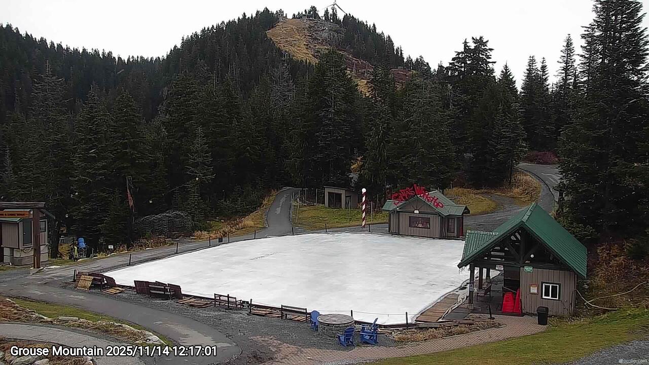 Webcam frame from Grouse Mountain at 2025/11/14 12:00