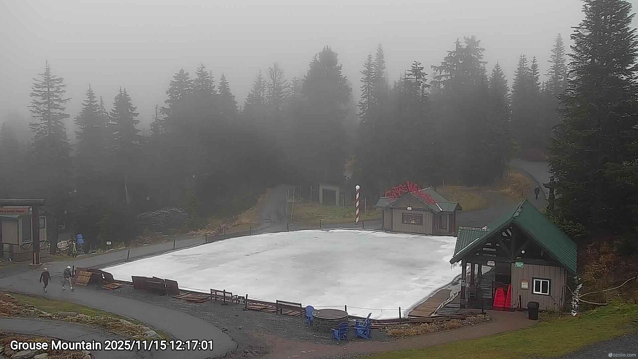 Webcam frame from Grouse Mountain at 2025/11/15 12:00