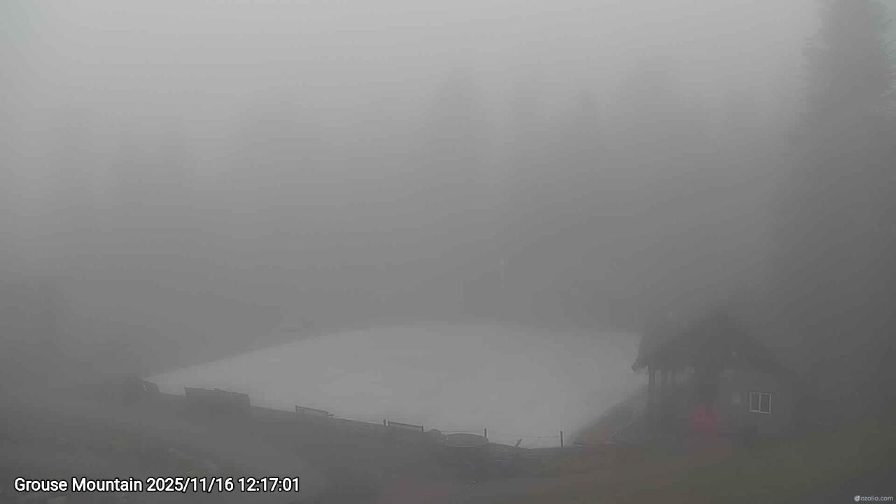 Webcam frame from Grouse Mountain at 2025/11/16 12:00