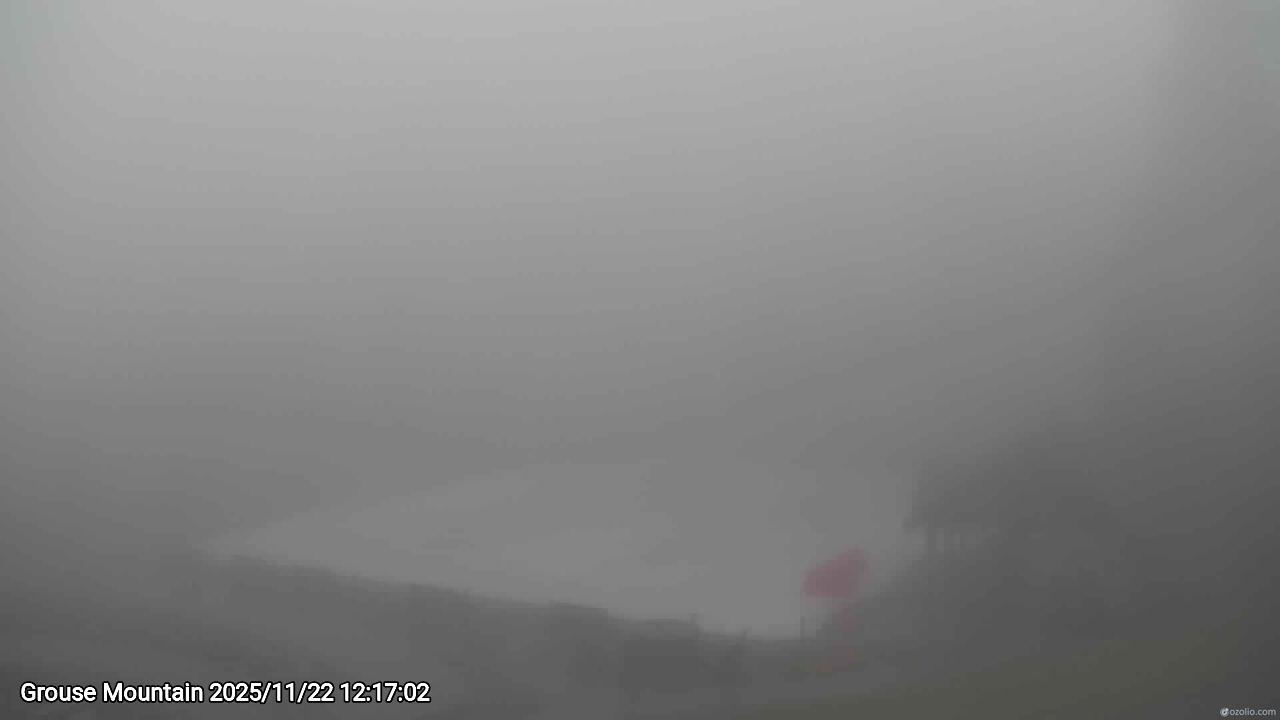 Webcam frame from Grouse Mountain at 2025/11/22 12:00